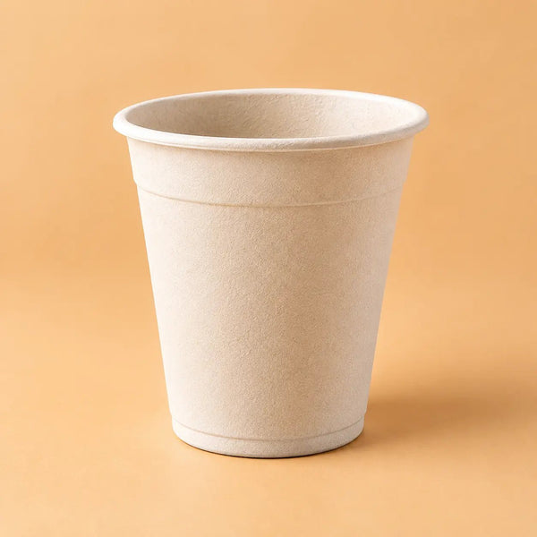 Bagasse & Eco-Friendly Packaging