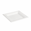 Bagasse Square Plate Range