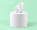Centrefeed Tissue - Blue
