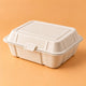 Bagasse Clamshell Boxes - 450 ml HB6