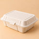 Bagasse Clamshell Boxes - 450 ml HB6