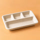 Bagasse Rectangular Tray Plates - 4 Compartment
