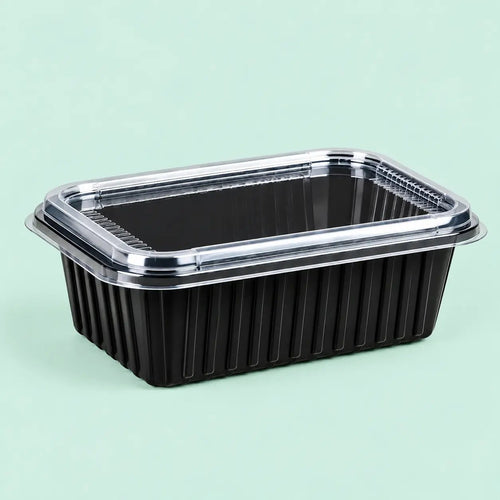 Rectangular Food Containers - Medium